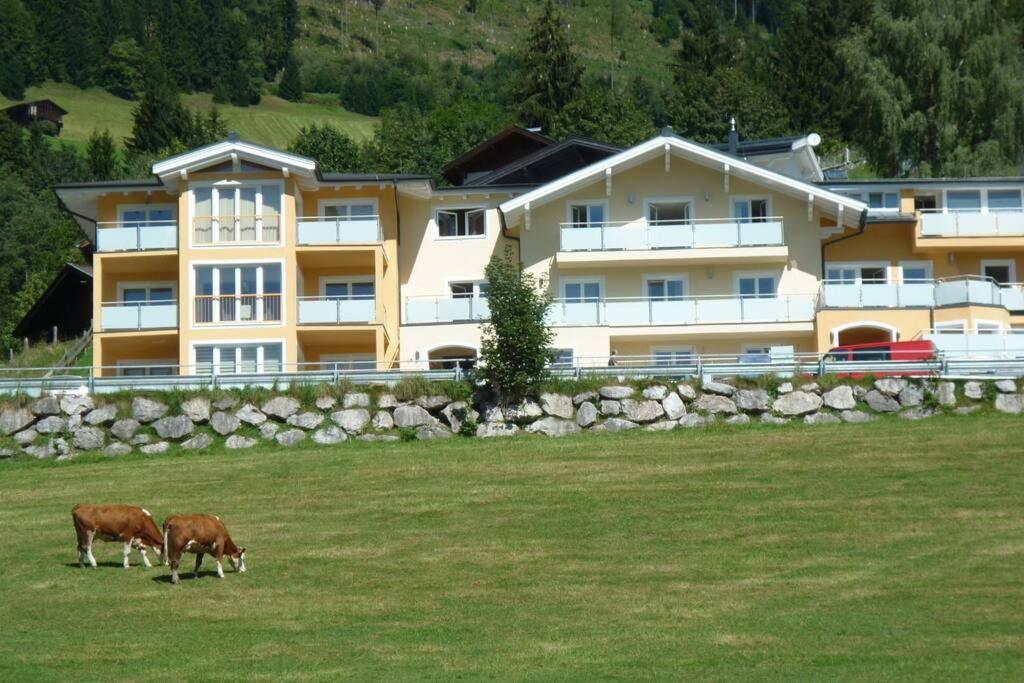 Apartment Hohe Tauern 피센도르프 외부 사진